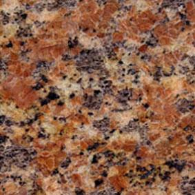 Orange Rose Orange Rose