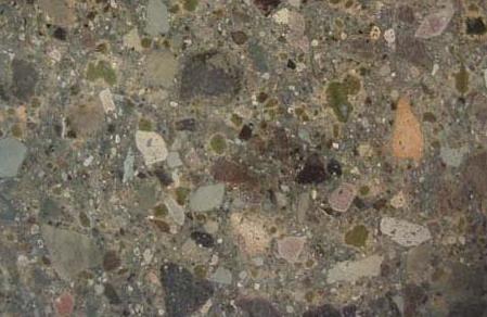 Romantrc Fellow Romantrc Fellow