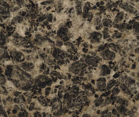 Leopard Skin Flower Leopard Skin Flower