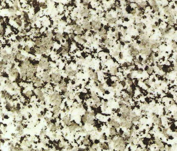 Blake Spot White Grain Blake Spot White Grain