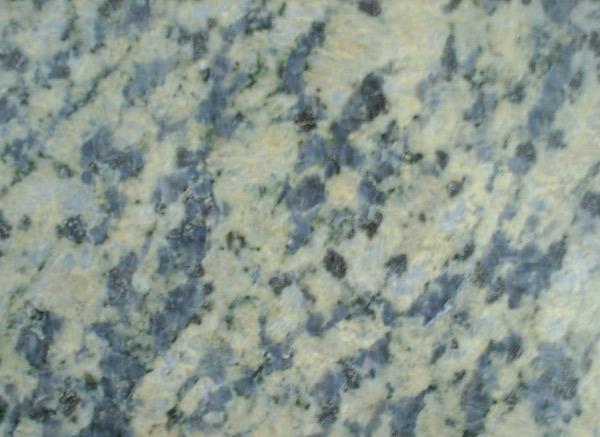 Amazon Golden Amazon Golden