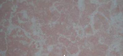 Rose Akagao Rose Akagao