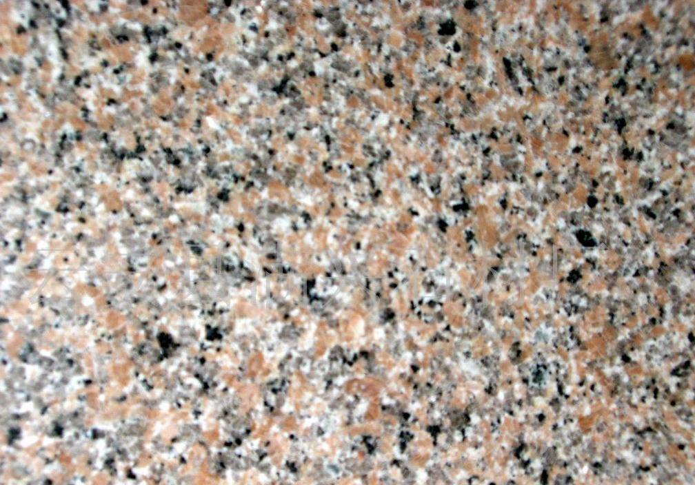 Xili Yellow Xili Yellow