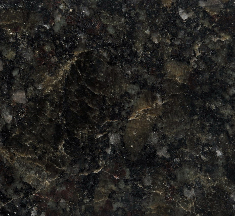 Coral Green Coral Green