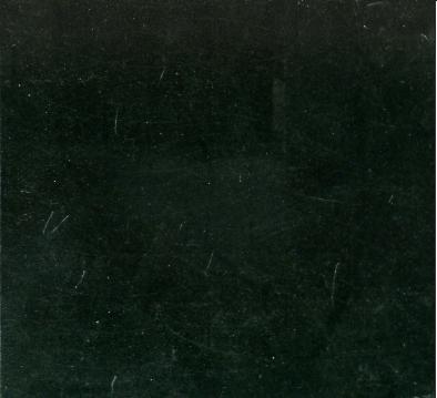 Shandong Black Shandong Black