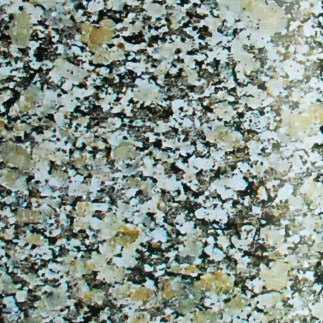 Sahara Gold Sahara Gold