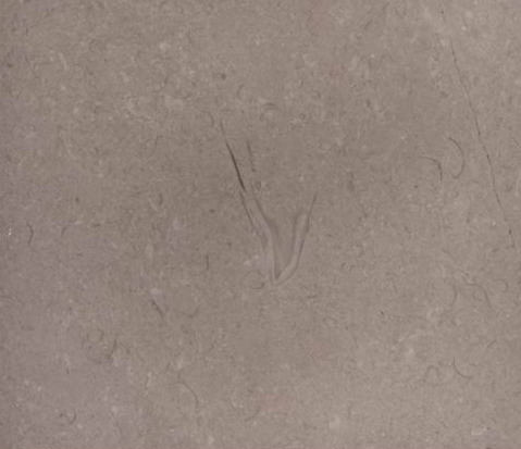 Lime Beige Lime Beige