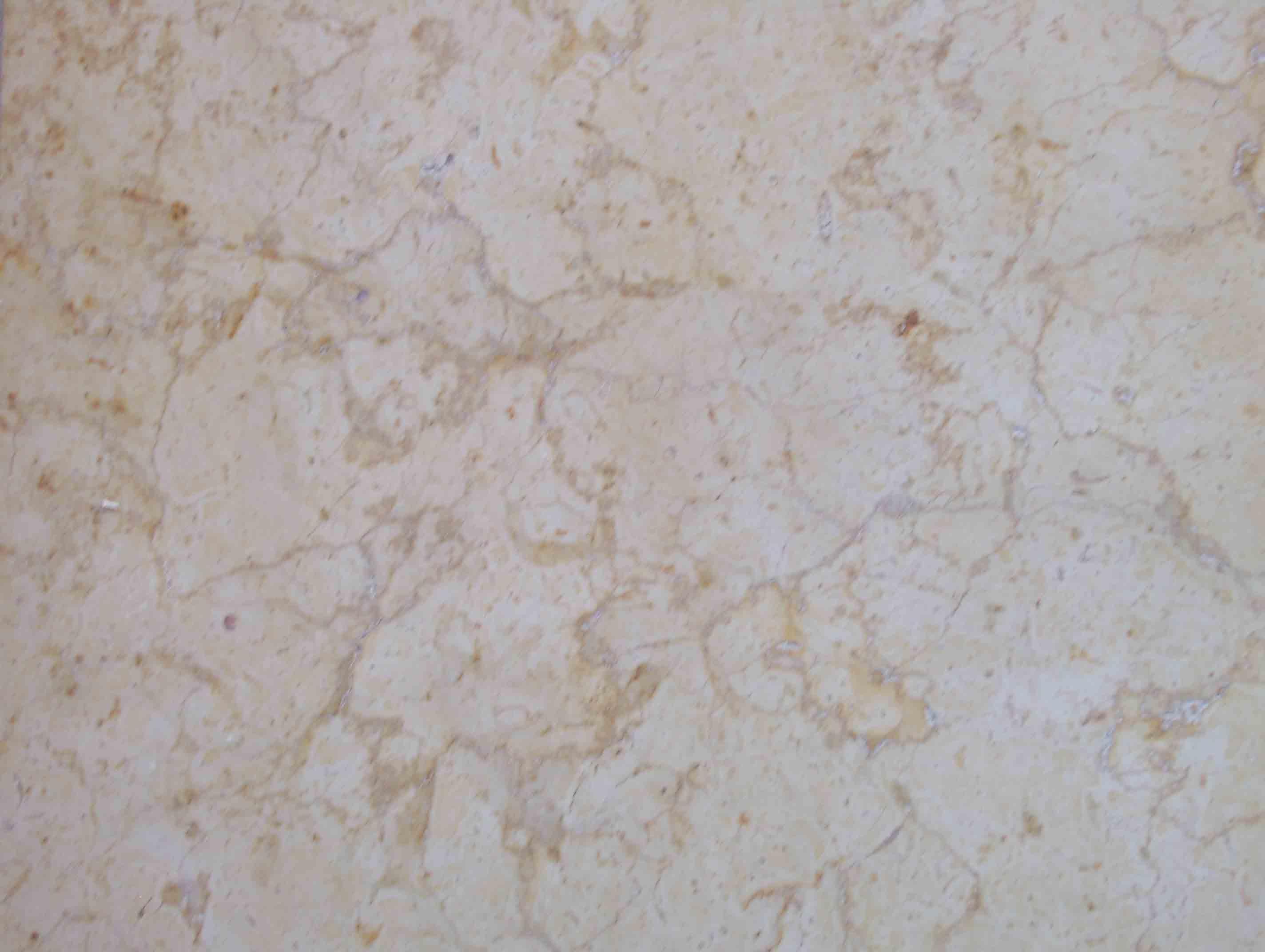 Royal Beige Royal Beige