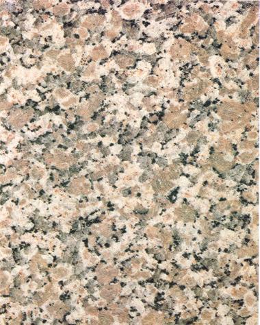 Rosa Arronches Ro Rosa Arronches Ro