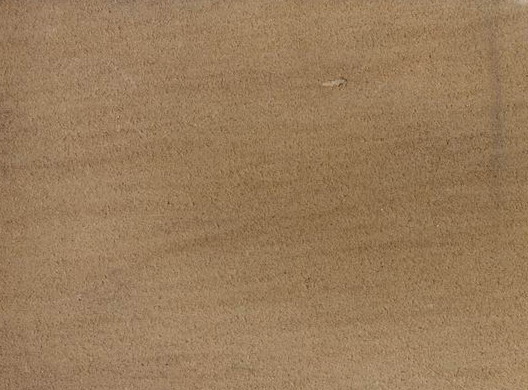 Yellow Wood Yellow Wood