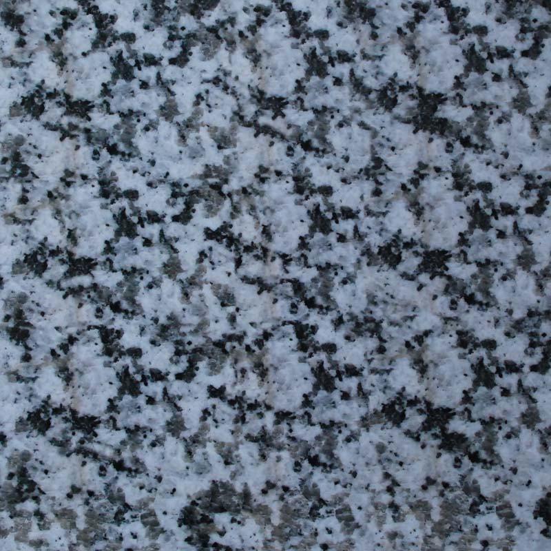 Balan Flower Balan Flower