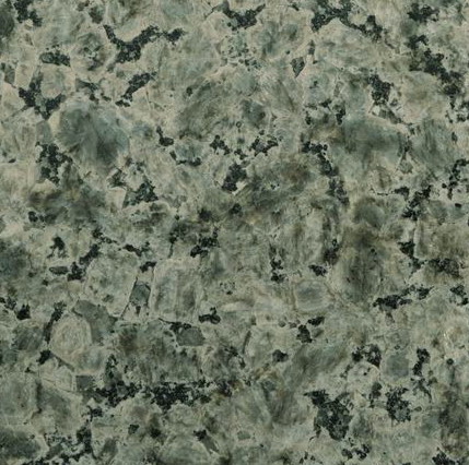 Blue Leopard Blue Leopard