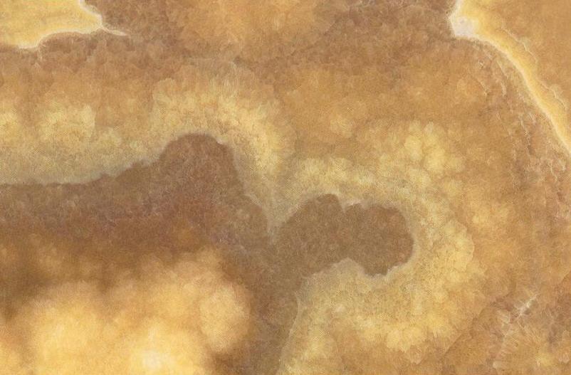 Cappuccino Cappuccino