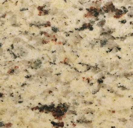 Rose White Rose White