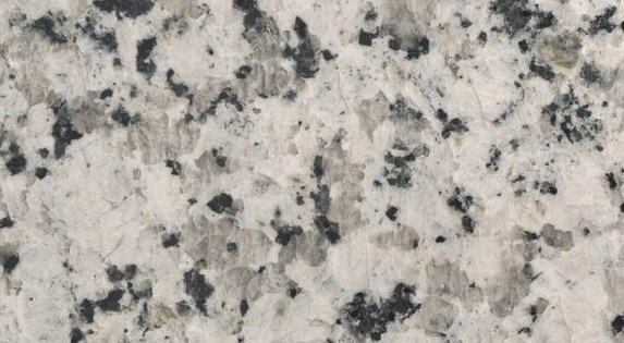 Small flowers Guangdong Small flowers Guangdong