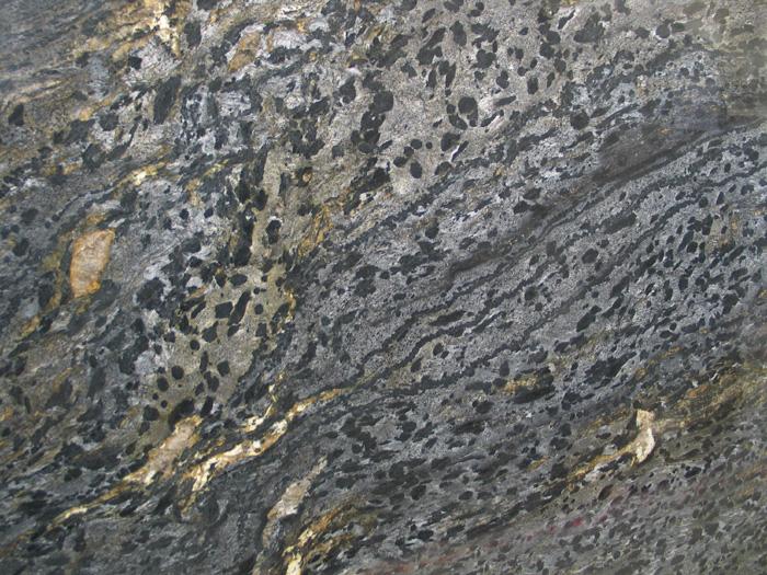 Safari Black Safari Black