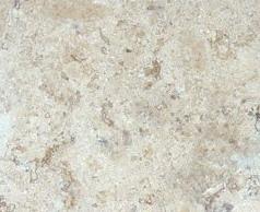 Yurac Travertine Yurac Travertine