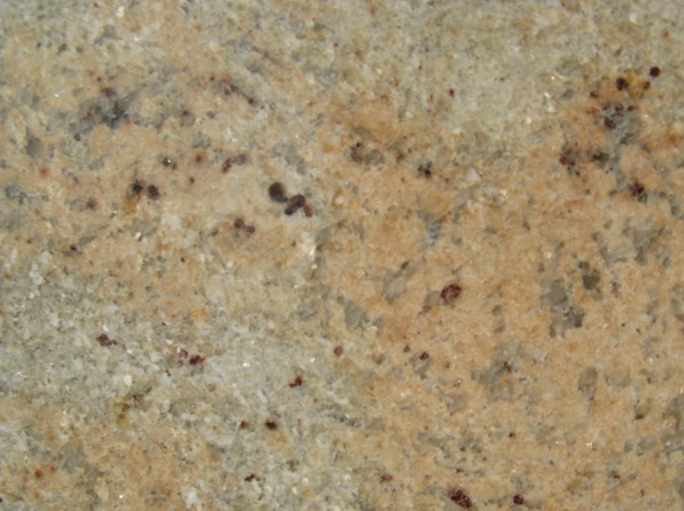 Shiva Gold Shiva Gold