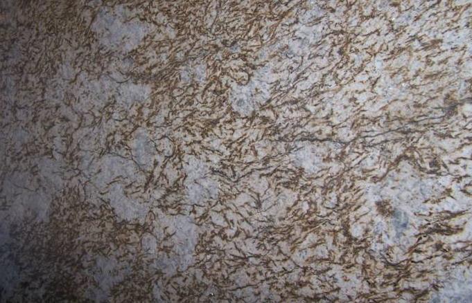 Golden Arctic Golden Arctic