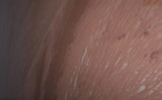 Brick Brown Quartzite