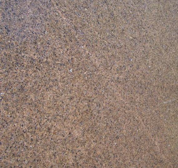 Tropic Gold Tropic Gold