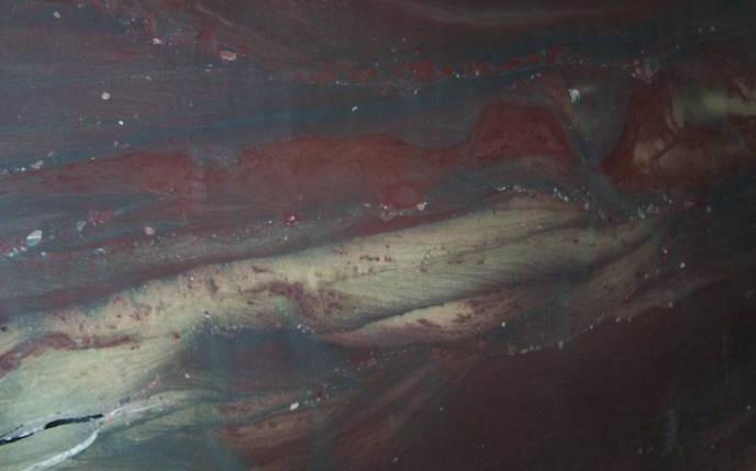 Wild Chianti Wild Chianti