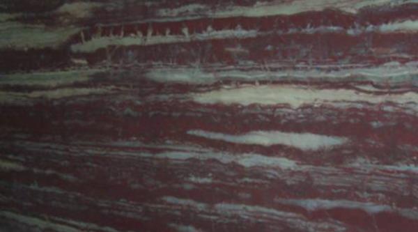 Violet Bamboo Violet Bamboo