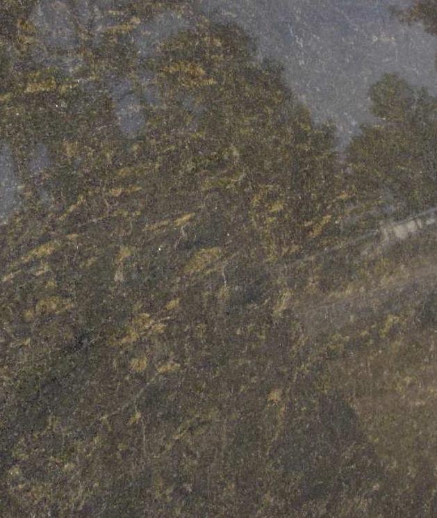 Amazon Canopy Amazon Canopy