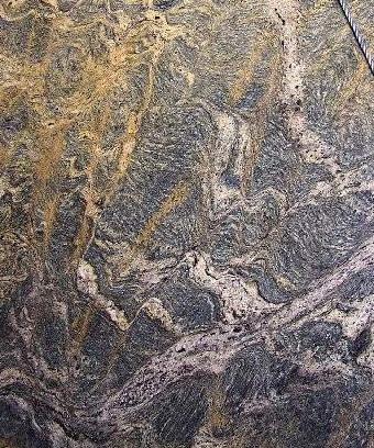 Amazon Tiger Amazon Tiger