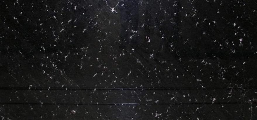 Borneo Black Borneo Black