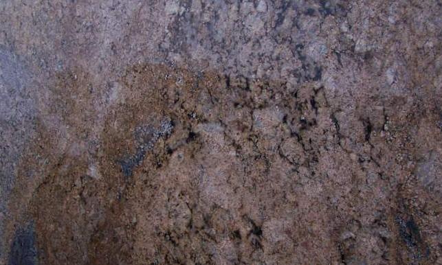 Golden Bits Golden Bits