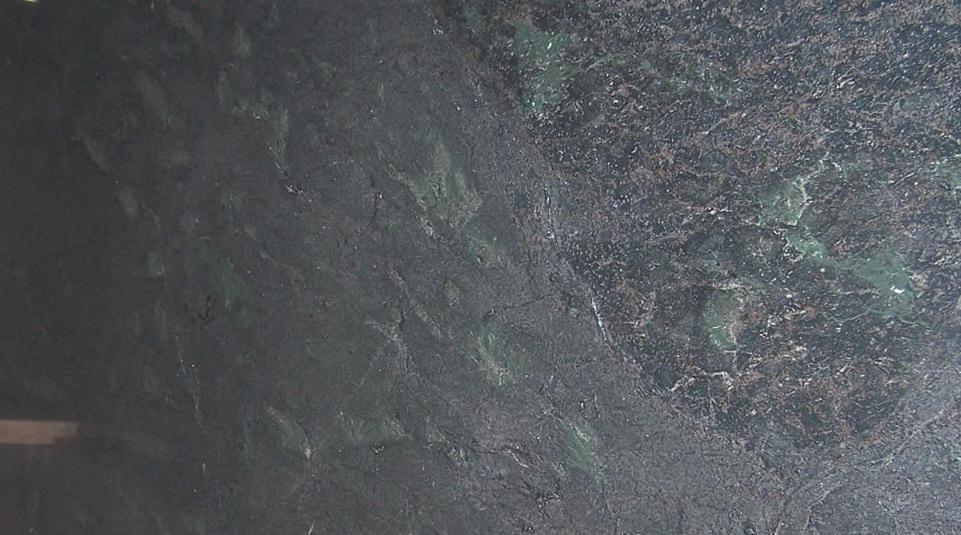 Lizard Green Lizard Green