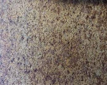 Madeira Gold Madeira Gold