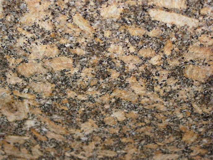 Medina Brown Medina Brown