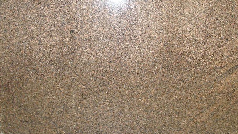 Orchidea Blue Orchidea Blue