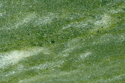 Verde Luna Verde Luna