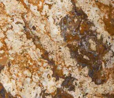 Oriental Amber Oriental Amber