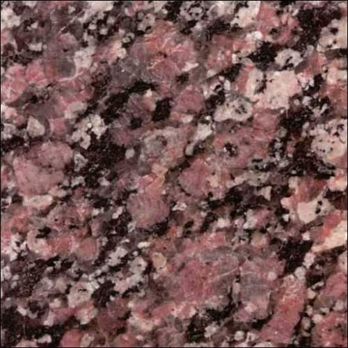 Rosa Azova Rosa Azova