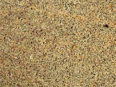 Chariot Vanilla Chariot Vanilla