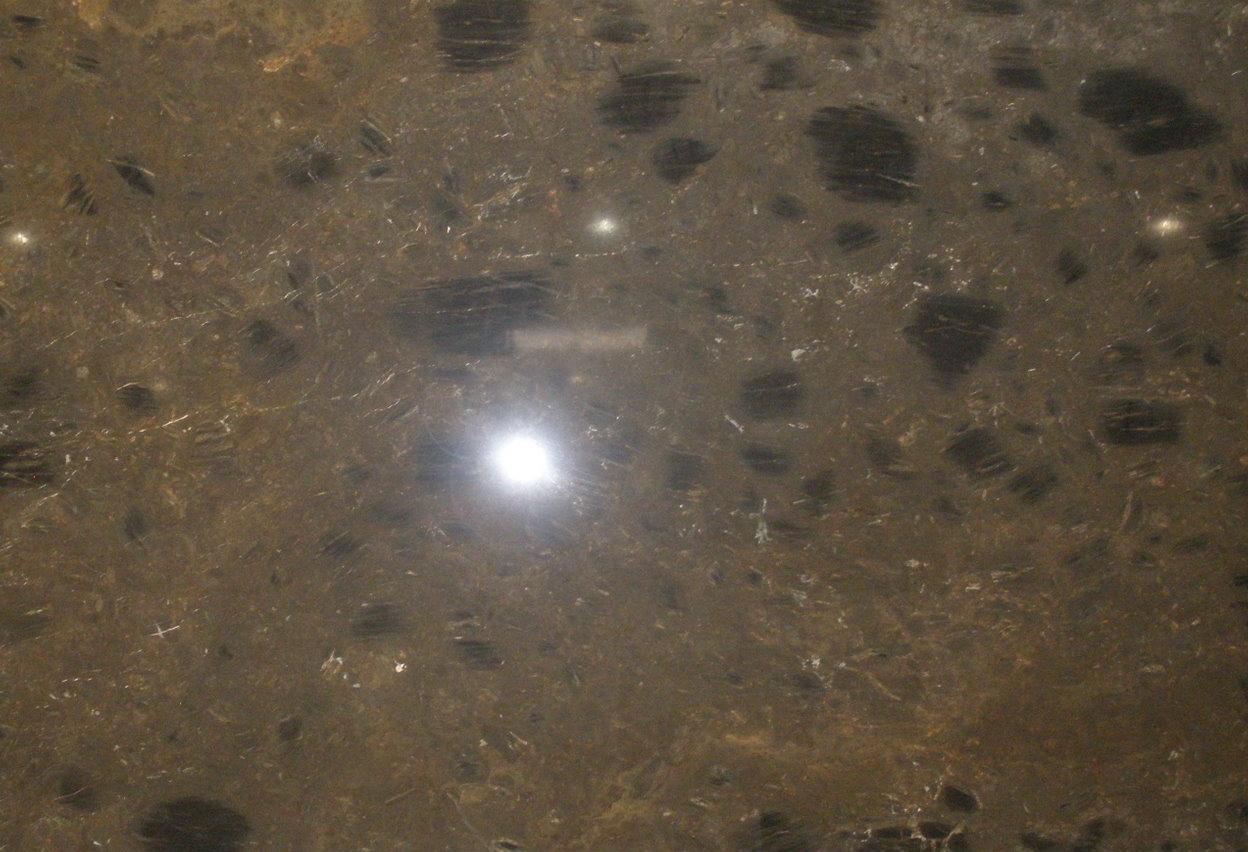 Timber Brown Timber Brown