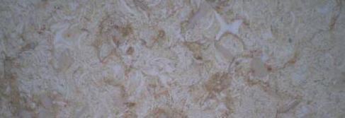 lily Beige lily Beige