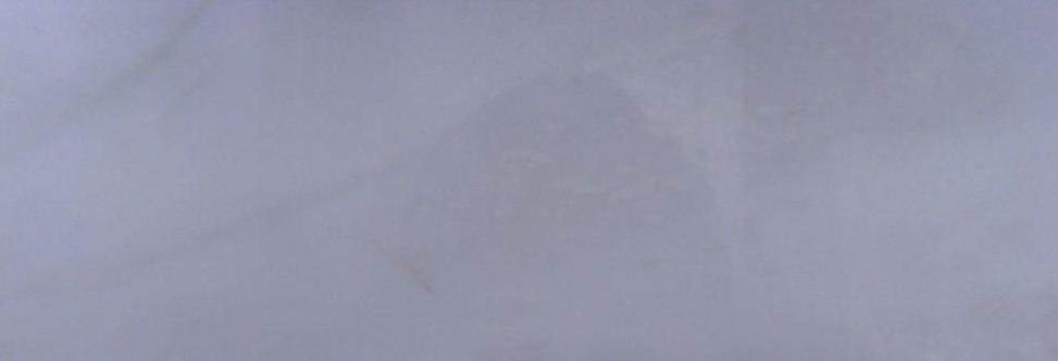 Rhino White Rhino White