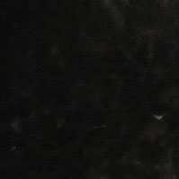 Butterfly Coffee Butterfly Coffee