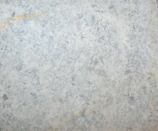 Ocean Gray Ocean Gray