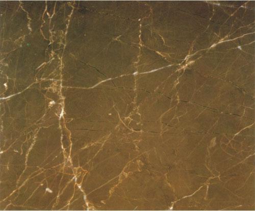 Sunny Coffee Sunny Coffee