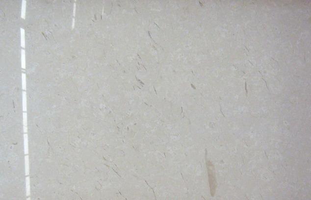 Coral Beige Coral Beige