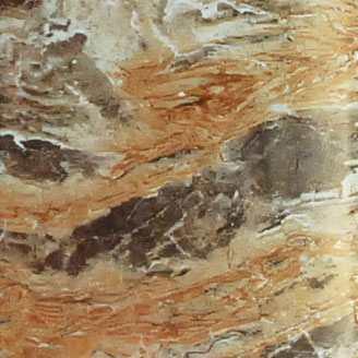 Sunny Flower Sunny Flower