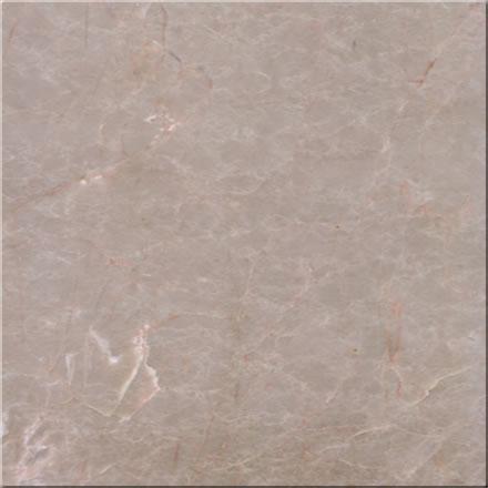 Beige Zarzi Beige Zarzi