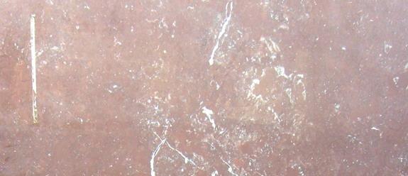 Xixilia Red Xixilia Red