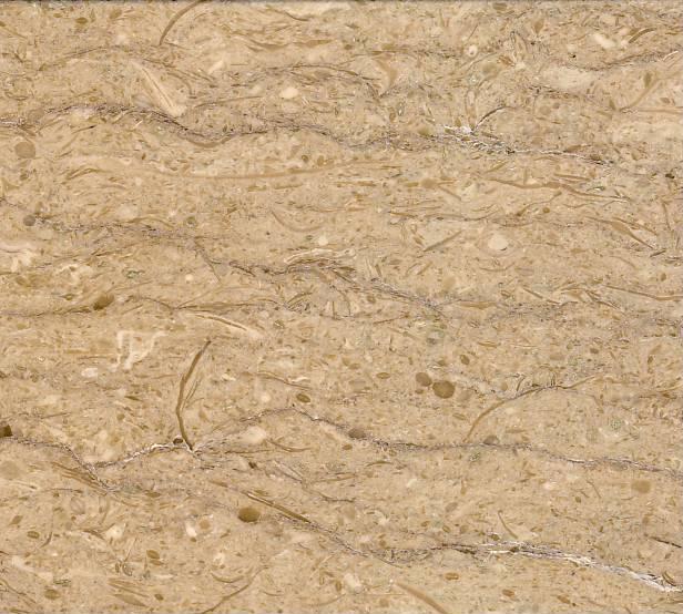 XinagBo Beige XinagBo Beige